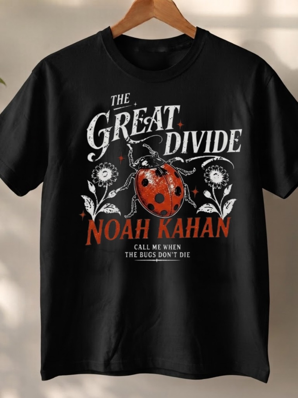 Gildan Black "The Great Divide" Noah Kahan Ladybug Graphic Tee